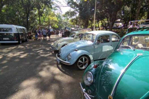 Encontro de carros antigos no Bosque do Povo acontece no domingo