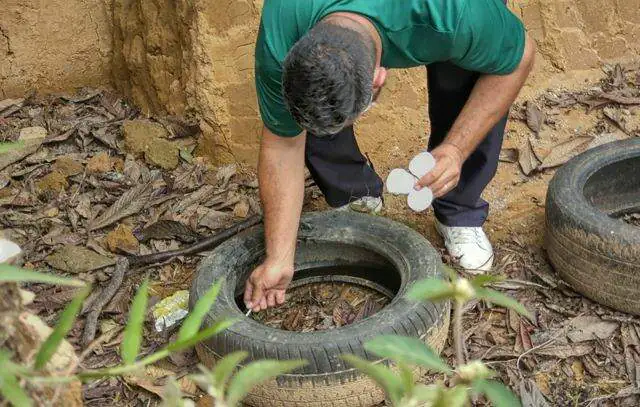 Em combate ao Aedes Aegypti