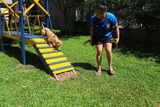 Diadema vai inaugurar o quarto Pet Park da cidade