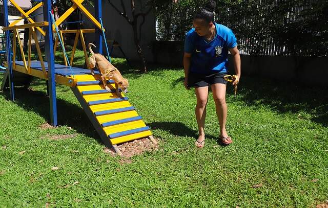 Diadema vai inaugurar o quarto Pet Park da cidade