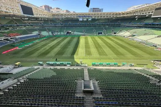 Palmeiras ajuda polícia a prender 28 pessoas com tecnologia no Allianz