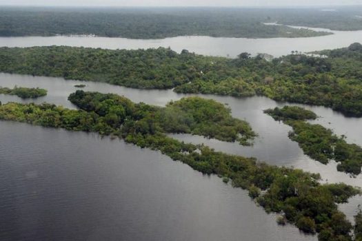 Estados já podem aderir ao programa de segurança da Amazônia