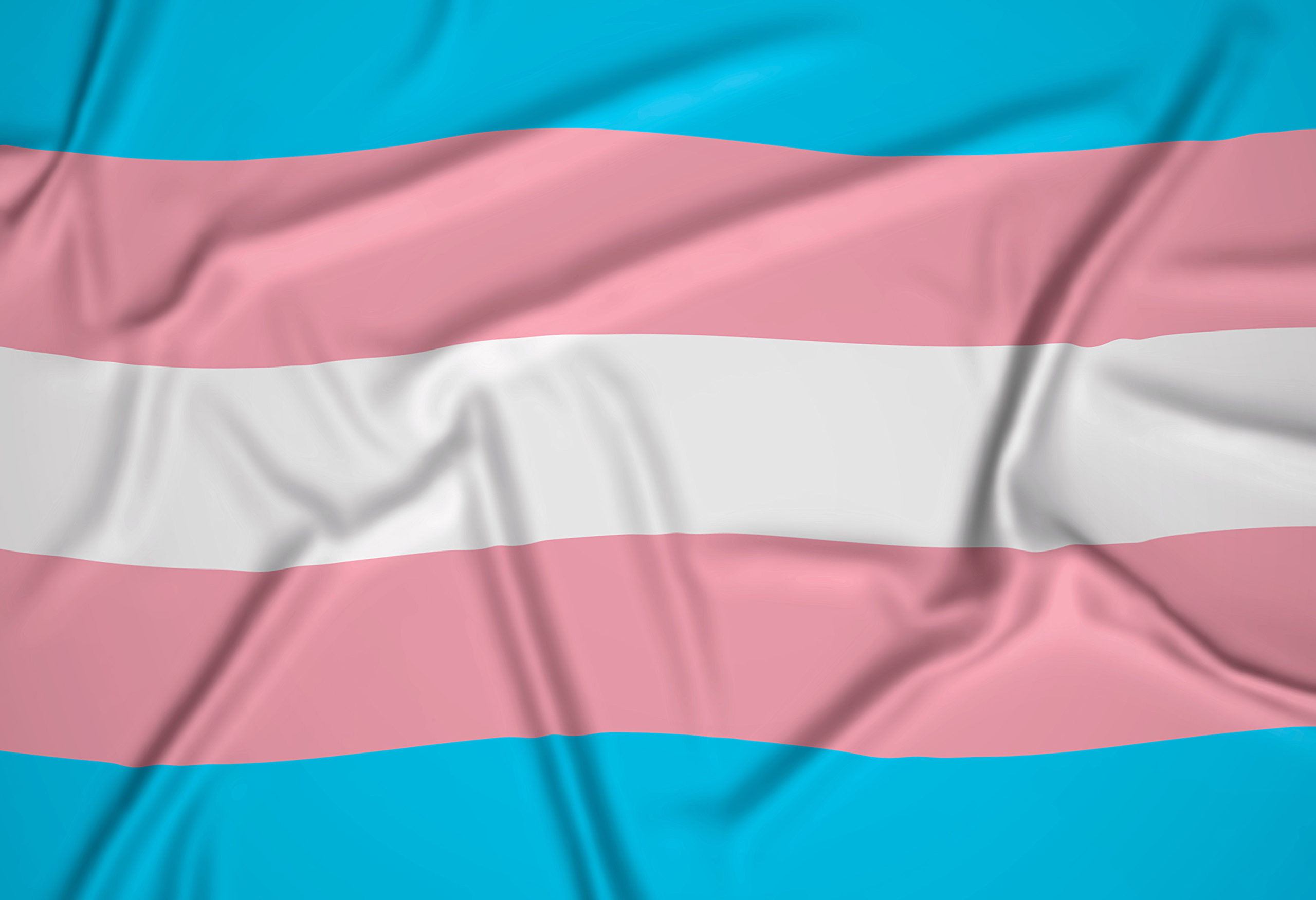Realistic Transexual Pride Flag