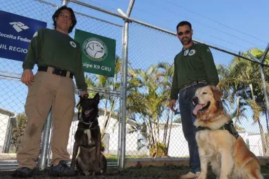 Cães farejadores do Mapa chegam ao aeroporto de Guarulhos para reforçar a fiscalização