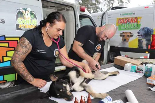 Ribeirão Pires inicia calendário anual de castrações canina e felina