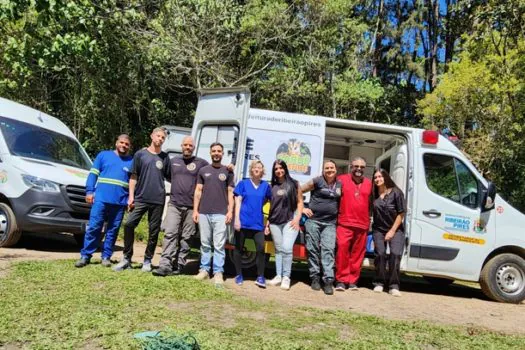 Ribeirão Pires retoma cronograma de castrações animais em bairros da cidade