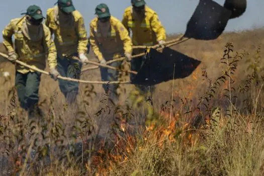 Uso consciente do fogo reduz incêndios na Chapada dos Veadeiros (GO) 