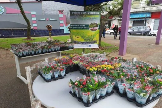 Ribeirão Pires Celebra a Primavera com Ação de Educação Ambiental e Doação de Mudas