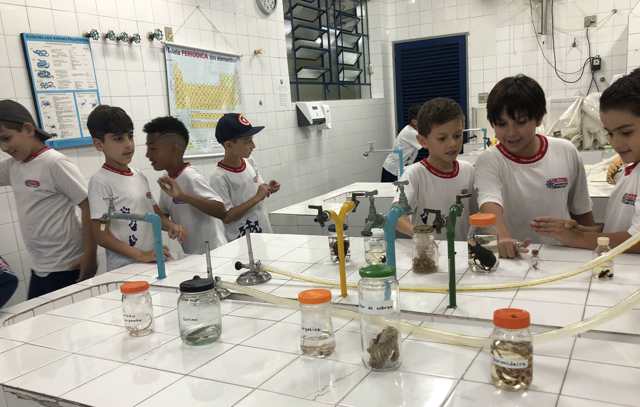 Singular oferece educação prazerosa do ensino infantil ao fundamental