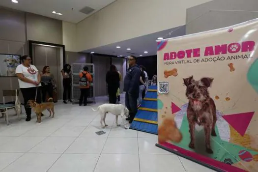 Diadema promoverá Feira de Adoção de Cães e Gatos no final de semana