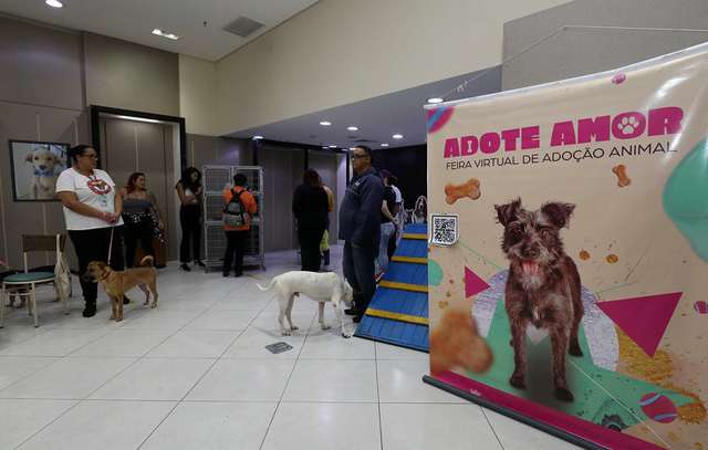 feira-de-adocao