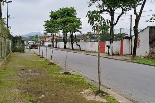 Guarujá planta 1,4 mil árvores e planeja ações para aprimorar qualidade do ar