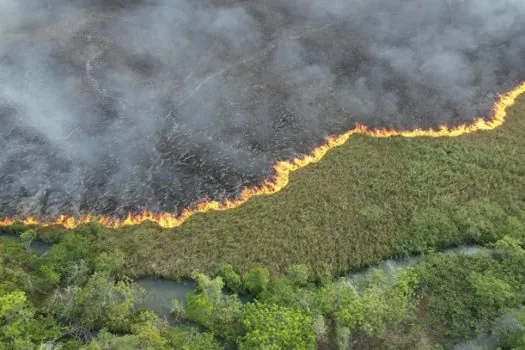 Queda de raio pode ser a causa de incêndio em Bonito (MS)