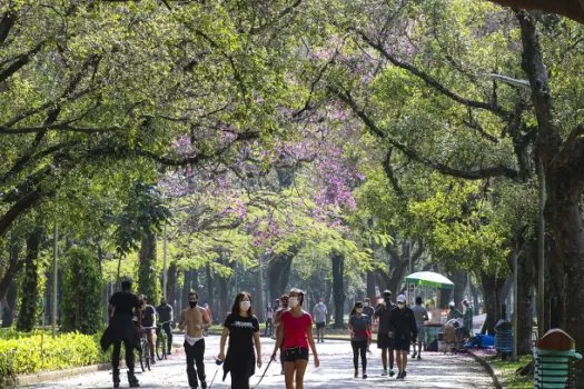 Treinos gratuitos de corrida no Parque Ibirapuera