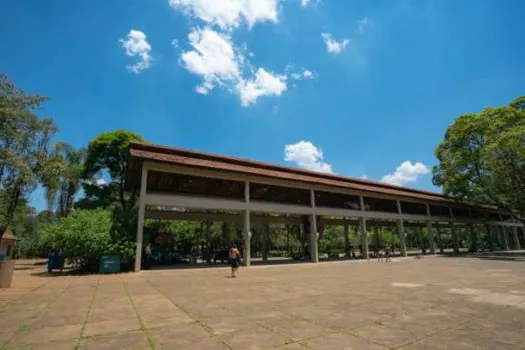 Parque Ibirapuera recebe a 2ª Caminhada Setembro Amarelo ‘Amar Elo que Salva Vidas’