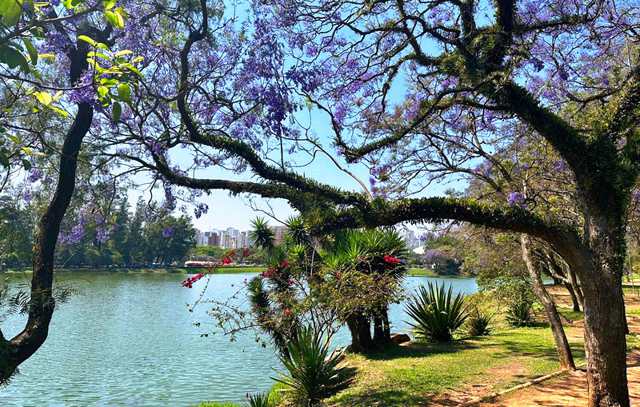 Aniversário de SP - Parques municipais funcionarão normalmente durante o feriado