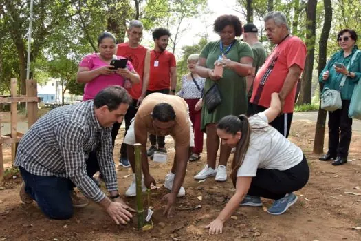 Santo André celebra o Dia da Árvore com plantio na Chácara Pignatari