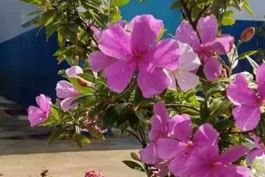 BRK destaca o início da primavera com ondas de calor intensas em virtude da atuação do fenômeno El Niño