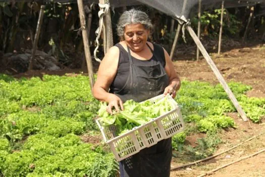 SP inicia segunda turma do programa de aceleração voltado para hortas urbanas do Sampa+Rural