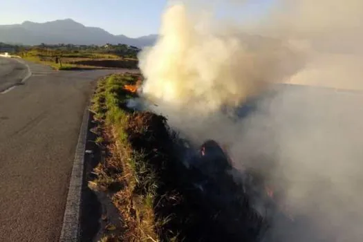 SP Sem Fogo: atenção redobrada para o risco de incêndios florestais