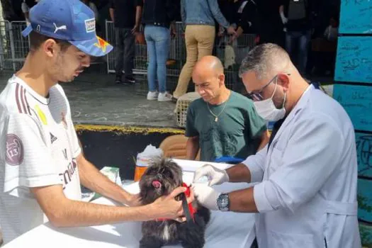 Ribeirão Pires promove Feira de Adoção e Vacinação Antirrábica na Vila do Doce neste sábado