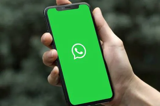 WhatsApp Flows: recurso para empresas expandirem seus serviços no app