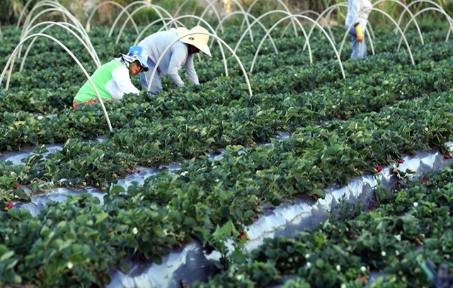 Governo anuncia crédito para agricultores atingidos por chuvas no Vale do Ribeira