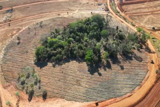 Região metropolitana de Goiânia recebe primeira agrofloresta urbana