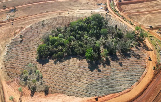 agrofloresta-urbana