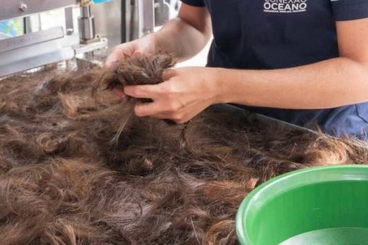 ONG transforma restos de cabelo em mantas que absorvem petróleo do mar