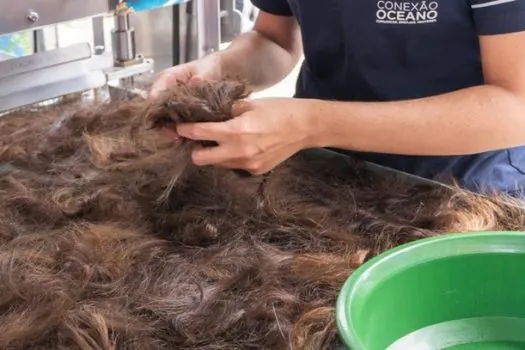 ONG transforma restos de cabelo em mantas que absorvem petróleo do mar