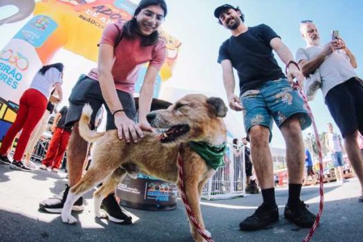 FLIRP recebe tradicional Feira de Adoção de Cães e Gatos