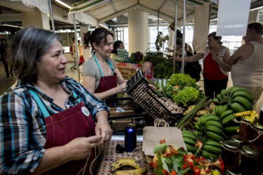 Região do ABC recebe atividades da 7ª edição do Experimenta! Comida, Saúde e Cultura