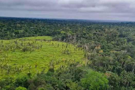 Entenda o que é e para que serve o mercado de carbono