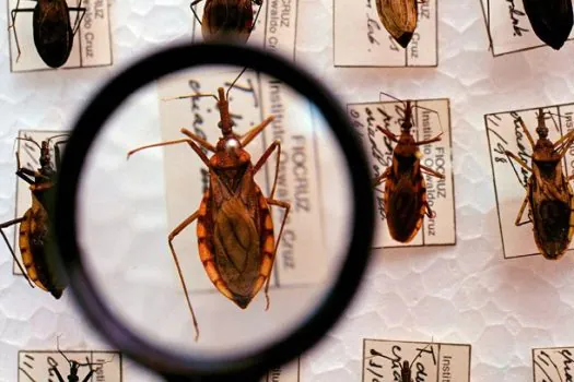 Plataforma pretende reunir pesquisas sobre a Doença de Chagas