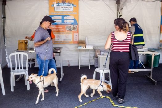 Segunda edição da Semana da Saúde Animal recebe mais de 33.817 mil pessoas