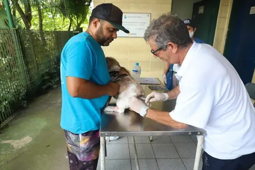 Vacinação antirrábica de rotina em Diadema será na próxima semana