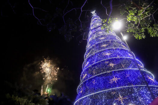 São Caetano inicia celebrações do Natal com árvore de 24 metros e chegada do Papai Noel