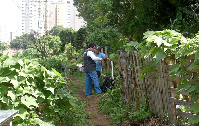 Santo André inicia mapeamento e diagnóstico de agricultores urbanos