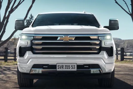 Briga de cachorro grande – Chevrolet Silverado