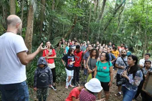 Domingo é dia do projeto “Tem Abelha no Meu Jardim” no Borboletário Diadema