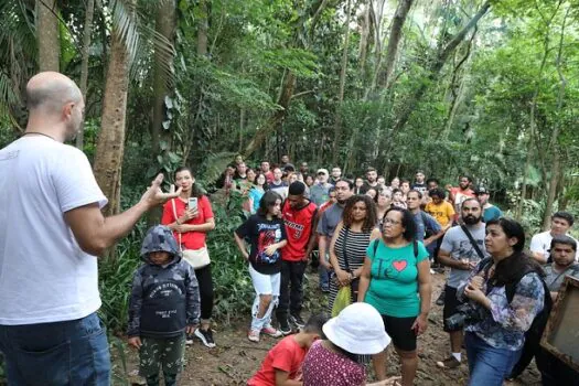 “Tem Abelha no Meu Jardim” fecha o ano em Diadema no domingo