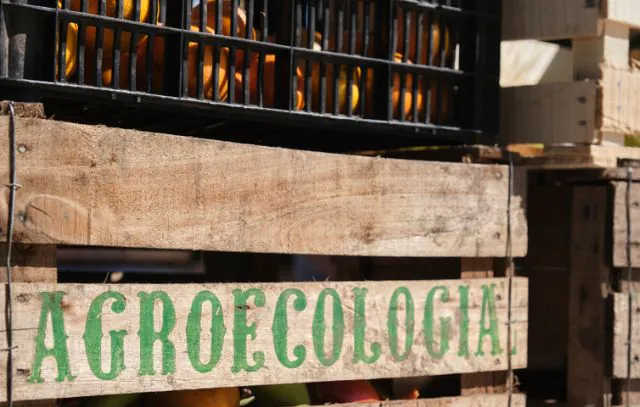 agroecologia