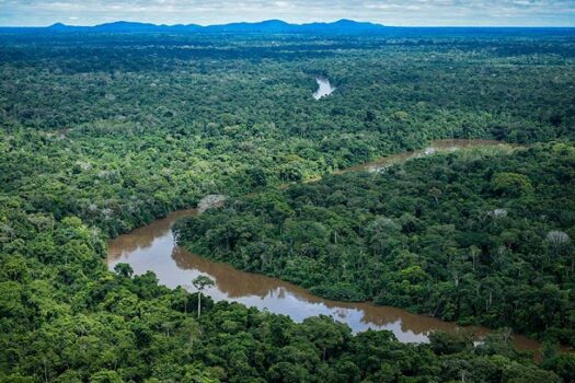 Programa Brasil MAIS potencializa combate a crimes ambientais na Amazônia