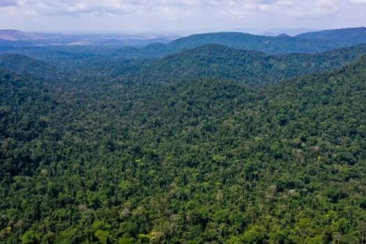 Cumprimento do Acordo de Paris vai além da Amazônia, aponta relatório