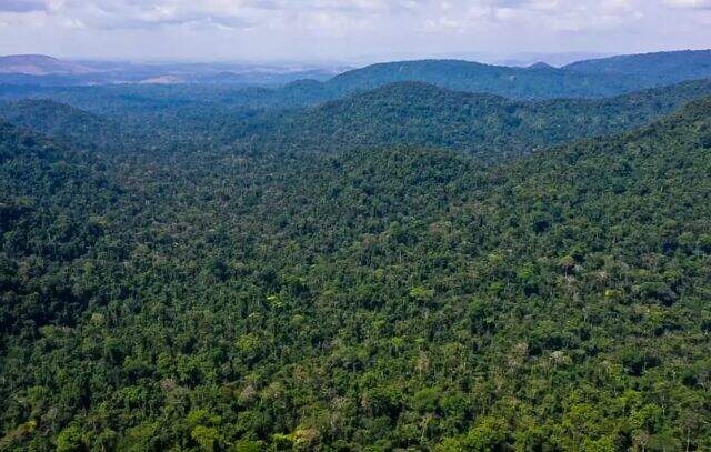 Impactos da mudança climática na Amazônia estarão em debate no Pavilhão Brasil no sábado (09)