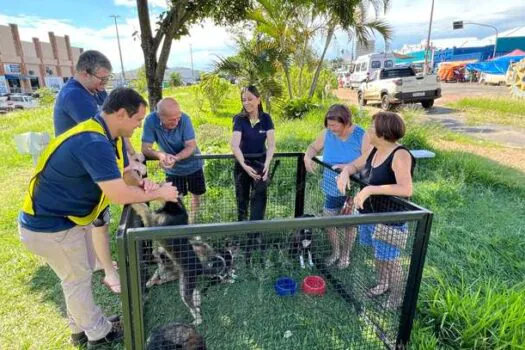 ARTESP e concessionárias atuam para proteger os animais domésticos nas rodovias paulistas