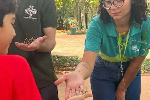 Parque Ibirapuera realiza Estação Biodiversidade especial sobre bicho-pau neste fim de semana