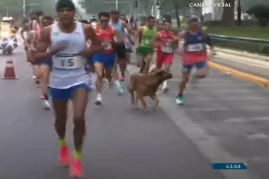 Cachorro invade final do triatlo no Pan e corre ao lado de atletas