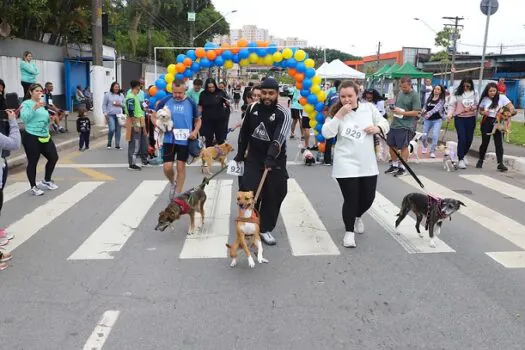 Praça da Moça recebe Cãominhada no domingo